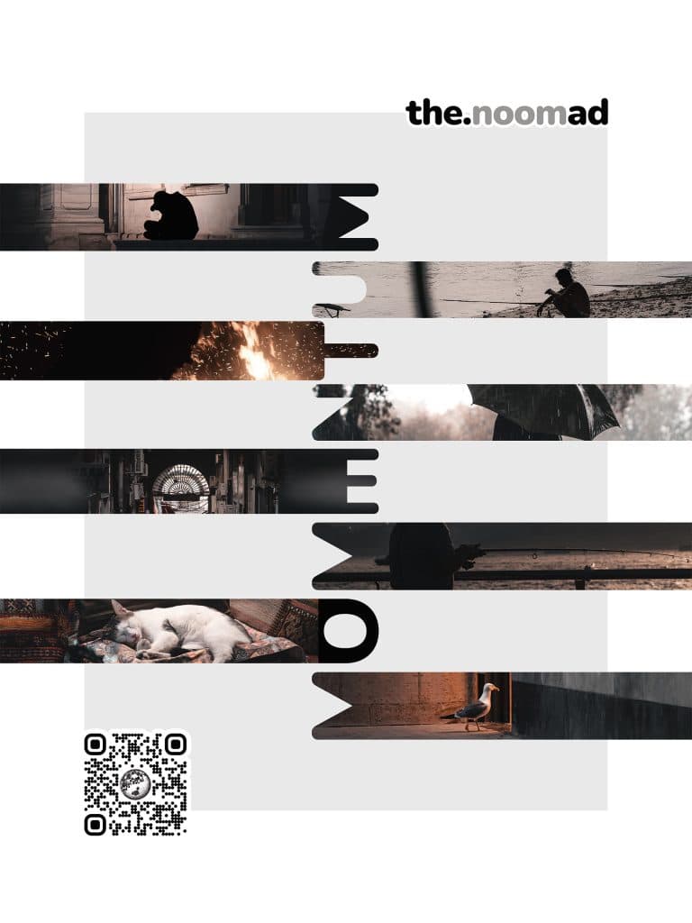Momentum_Plakat