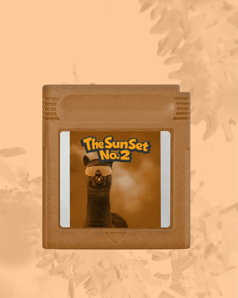 Open Air Rave: The SunSet No.2